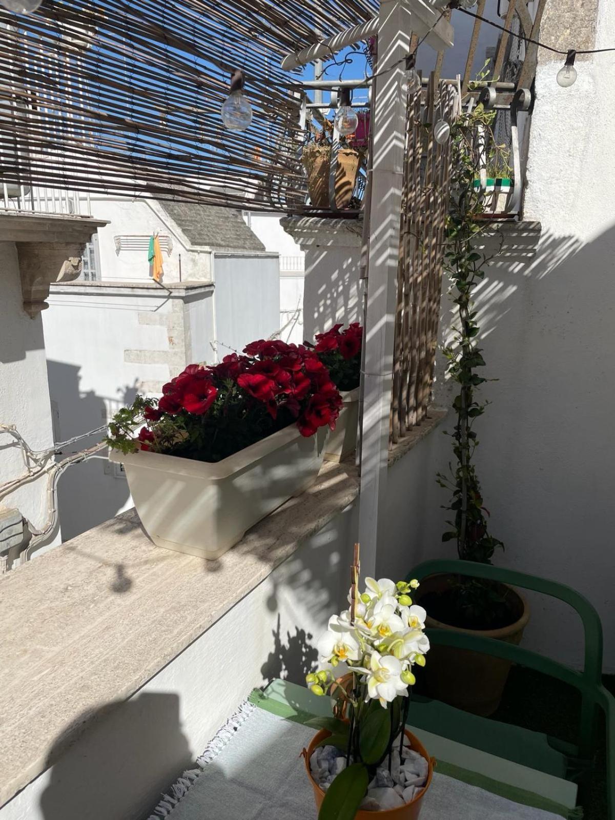 Casa Del Riccio Nel Centro Storico Apartment Martina Franca Luaran gambar